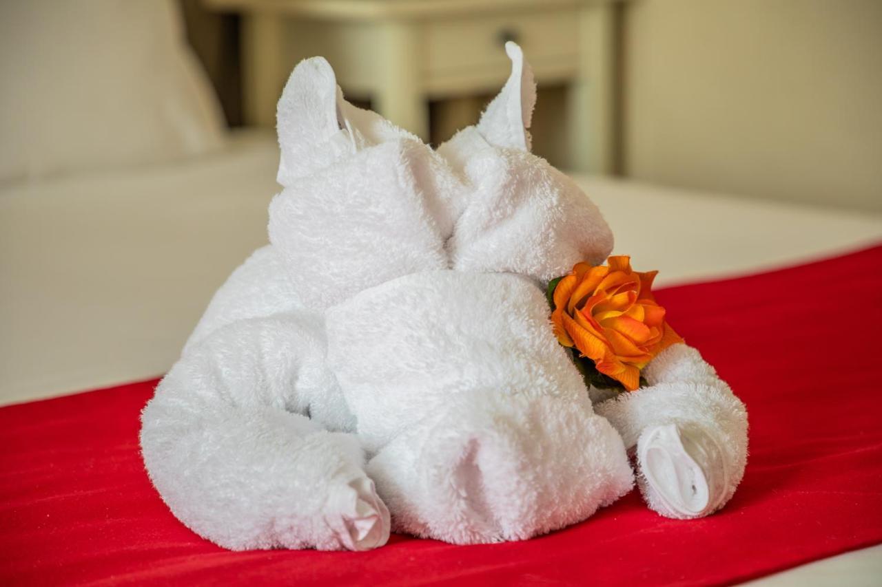 Auberge De Kerveoc'H Douarnenez Zewnętrze zdjęcie